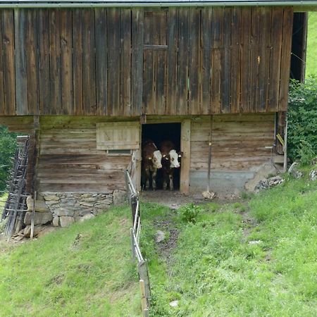 Bergpension-Ebental Brixen im Thale Esterno foto