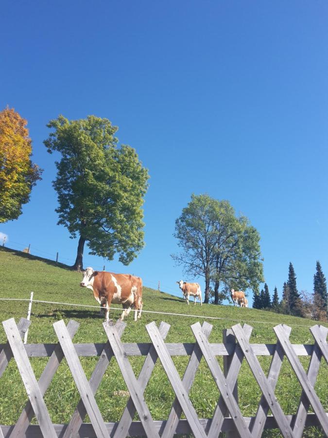 Bergpension-Ebental Brixen im Thale Esterno foto