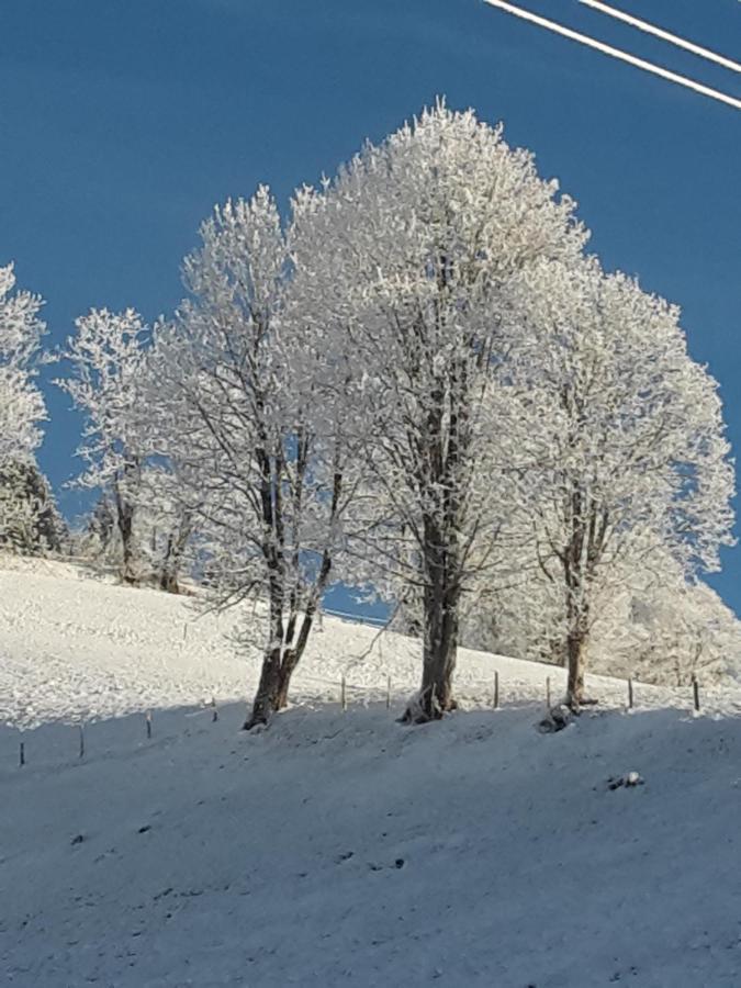 Bergpension-Ebental Brixen im Thale Esterno foto