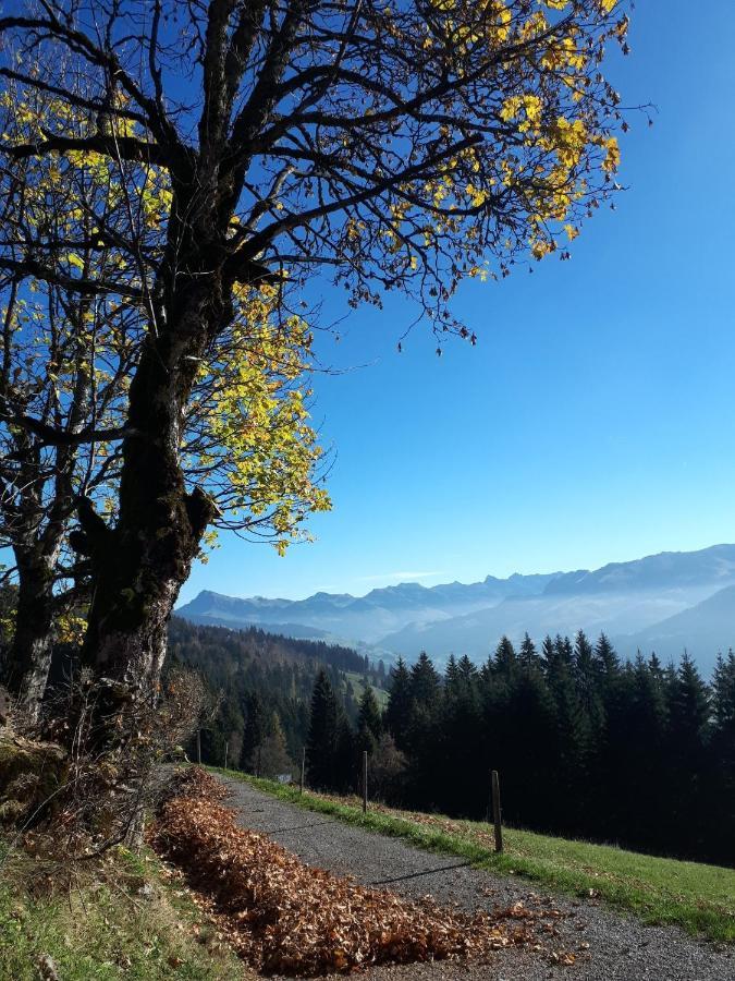 Bergpension-Ebental Brixen im Thale Esterno foto