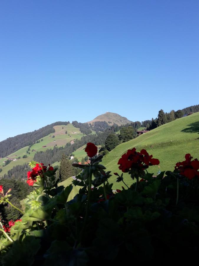 Bergpension-Ebental Brixen im Thale Esterno foto